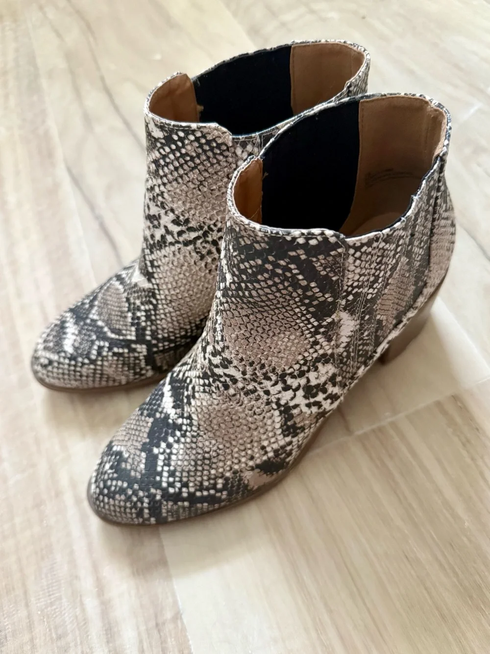 Maurices textured snake